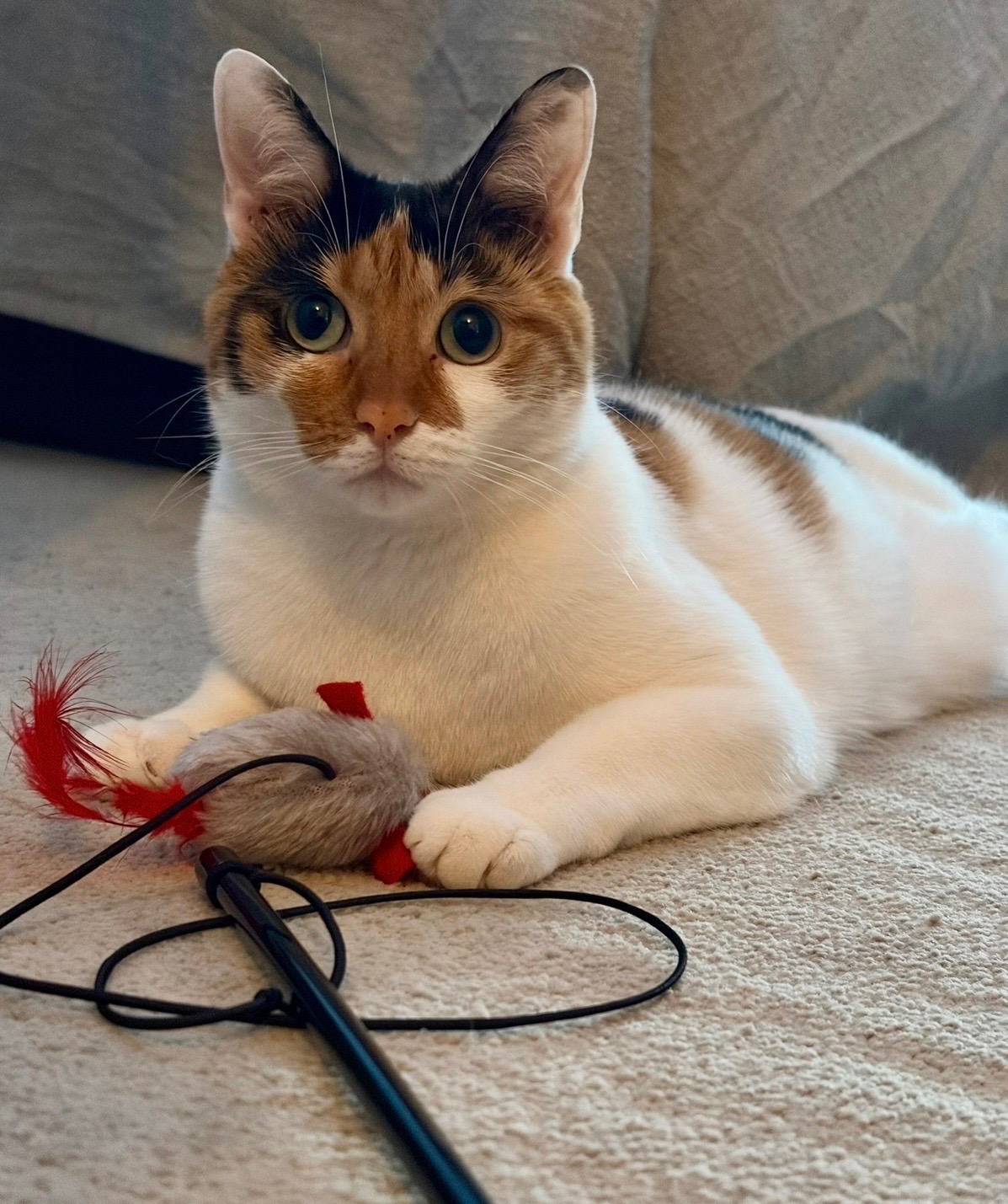 Mid-visit supervision