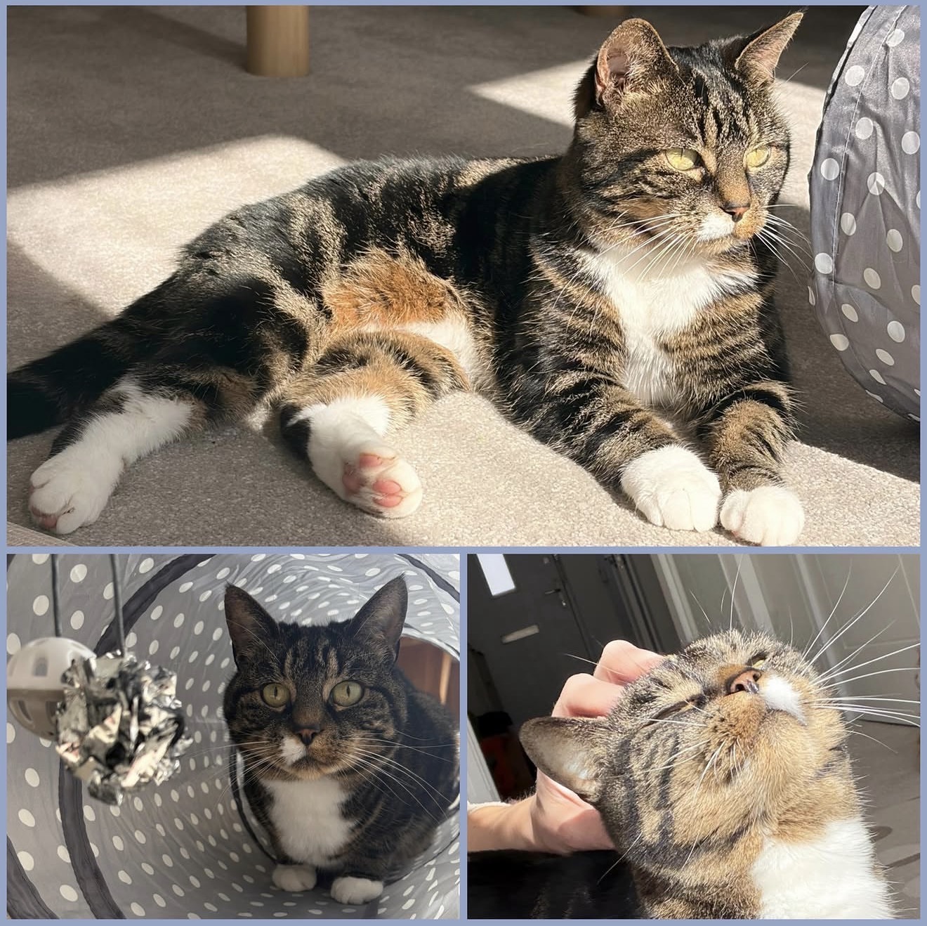 Sunny spot, claimed