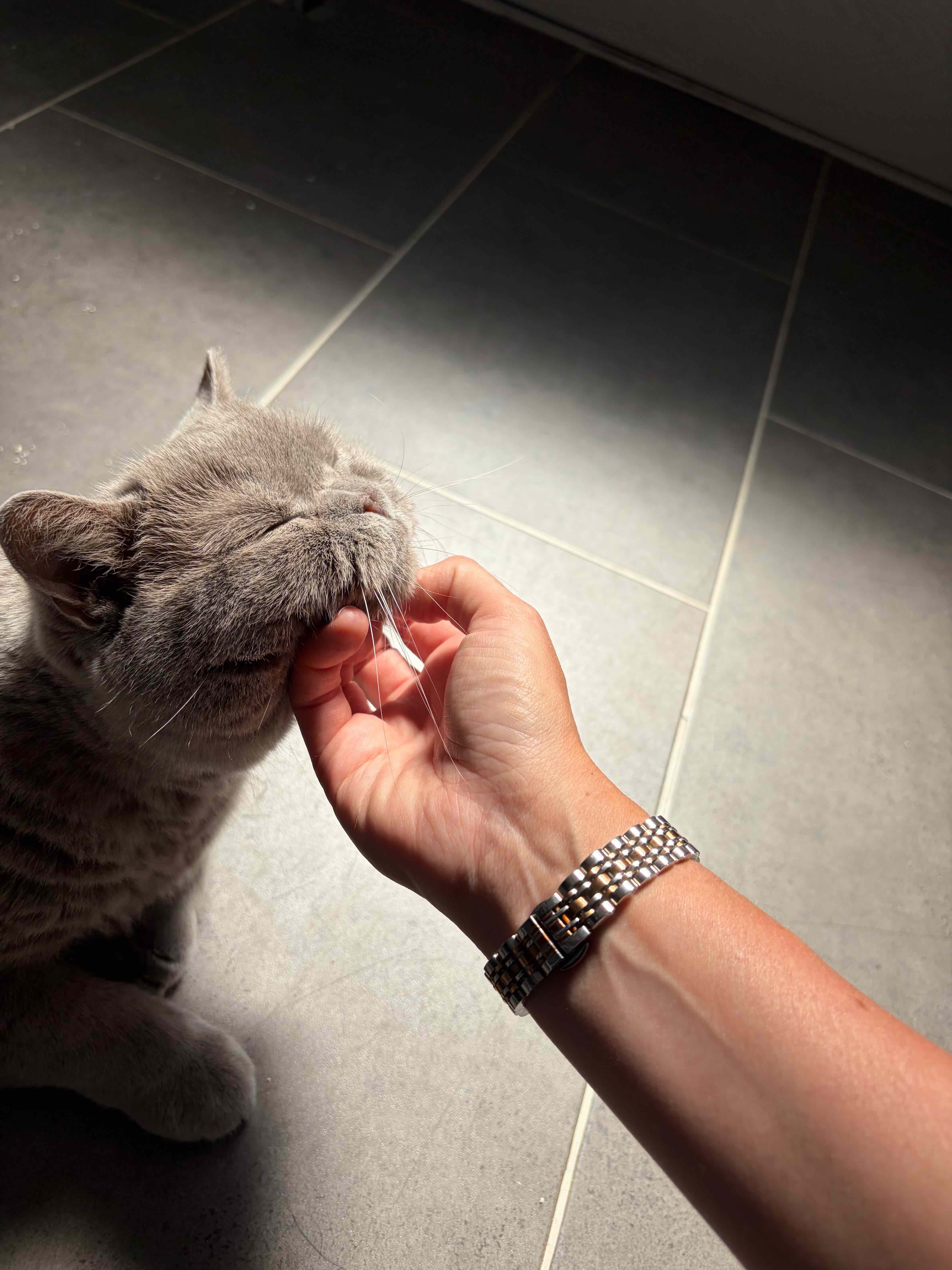 Shivonne meeting a client&rsquo;s cat